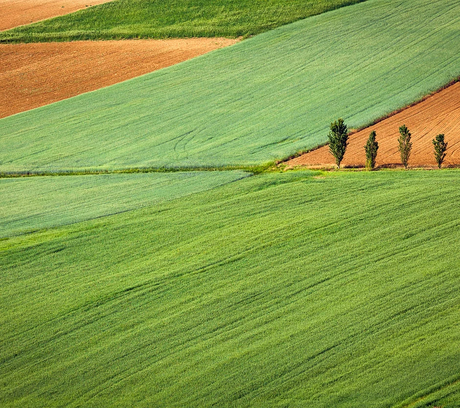 Farming Field.webp