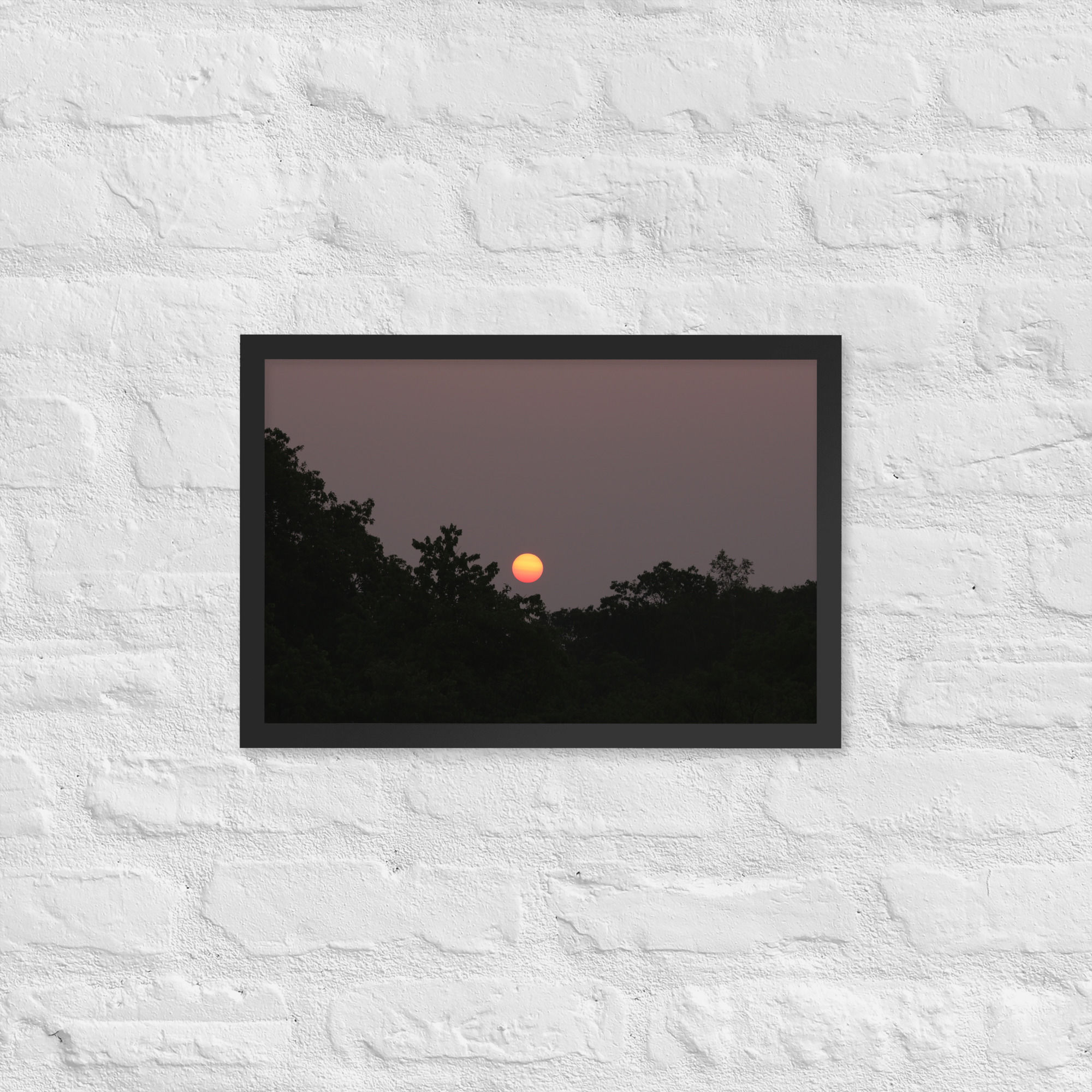 Framed Sunrise