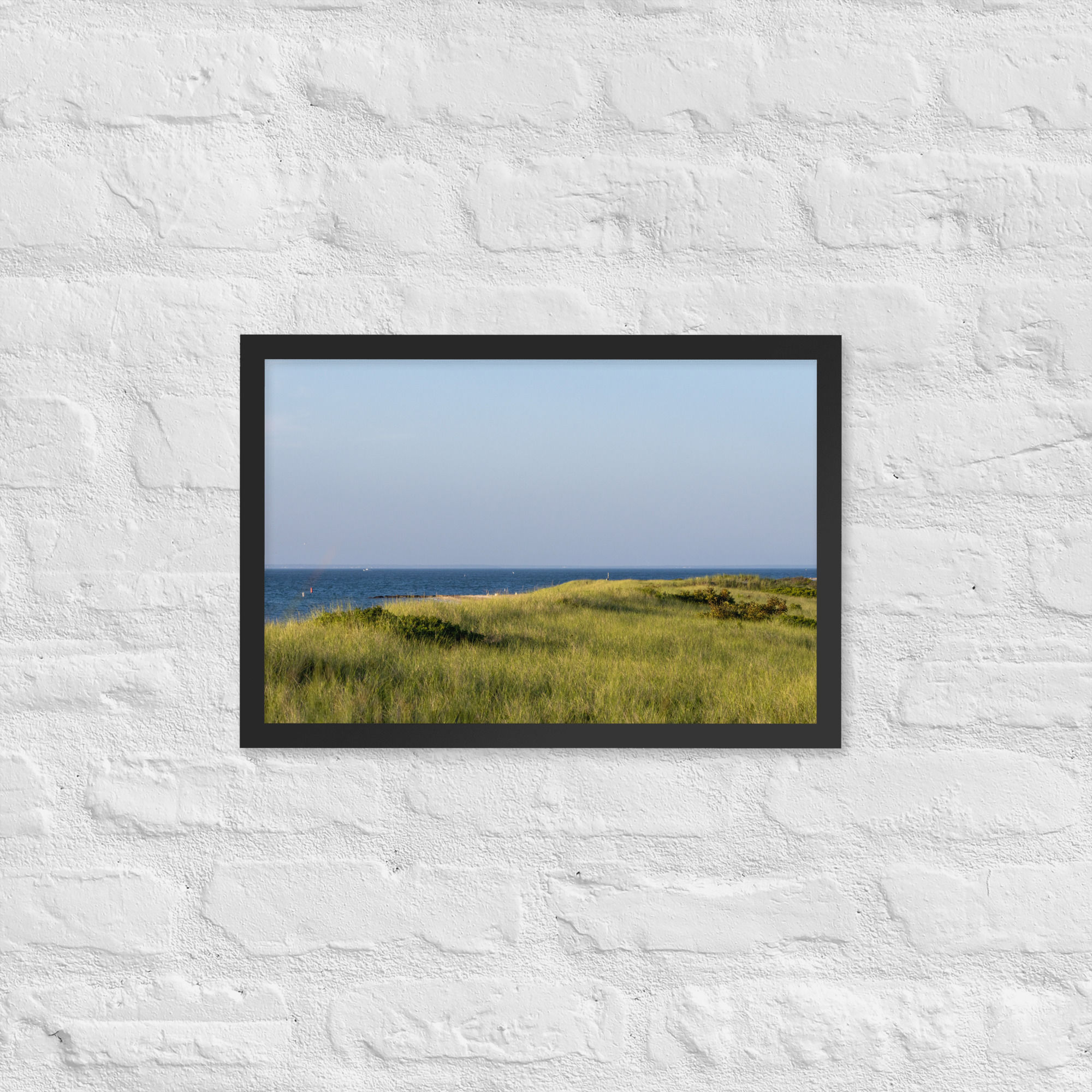 Framed Dune Grass