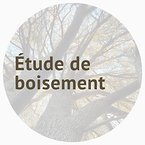 Etude de boisement.png