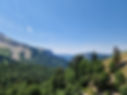 Forêt