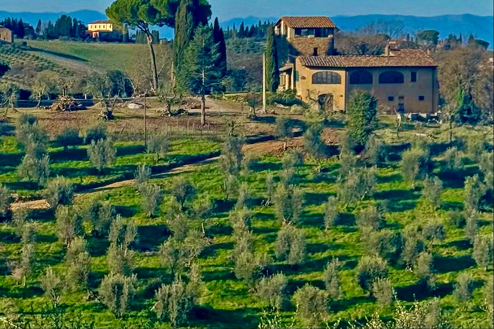 A scenic photo of a tuscan vineyard spanning several hilly acres with a rustic Italian building in the background and lush grapevines in the foreground