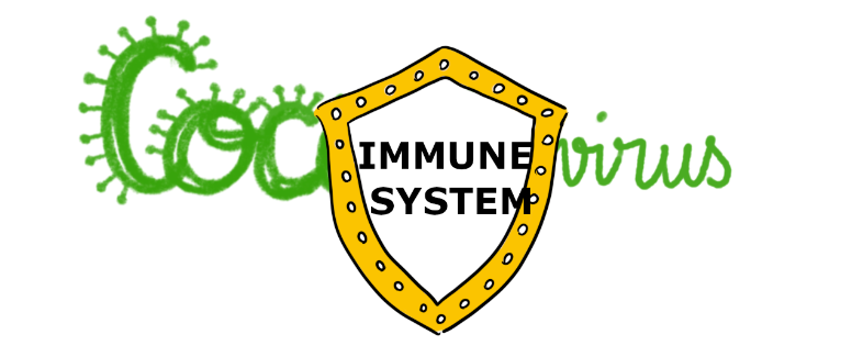 The Immune System