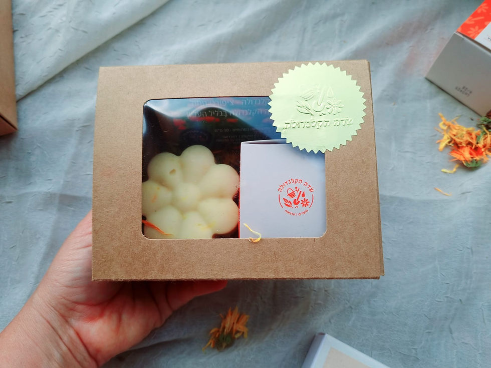 תמונה ממוזערת: מארז - משחה סבון וזרעים