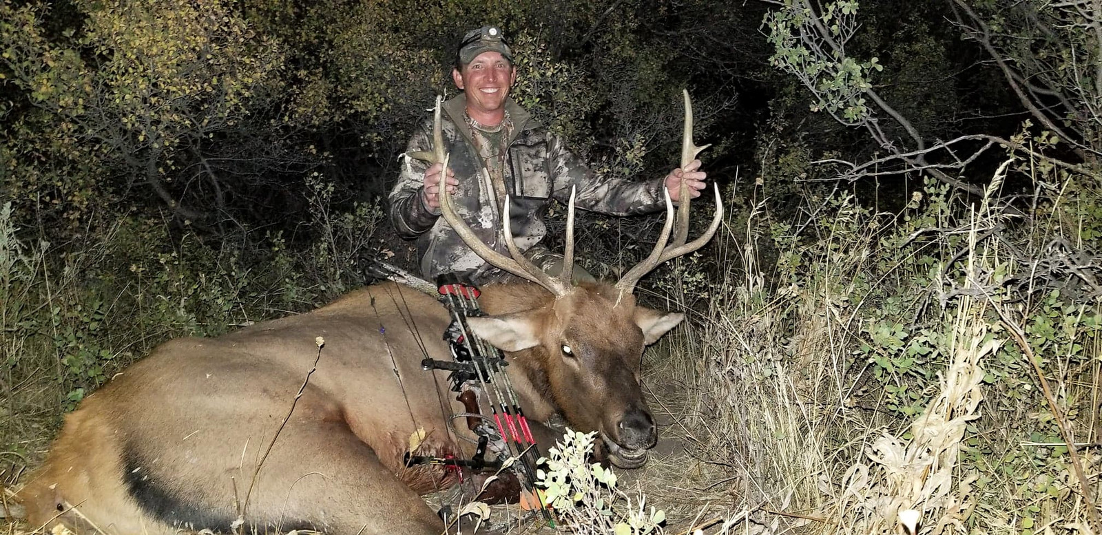 MIKE'S 1ST ARCHERY BULL