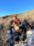 Daniel's 4th rifle season buck
