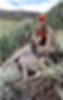 Jacob's black powder buck