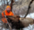 Jeff's 4th rifle season cow