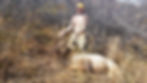 JOHNATHON'S BULL 15