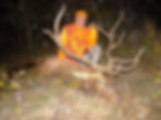 MARK'S BULL 15