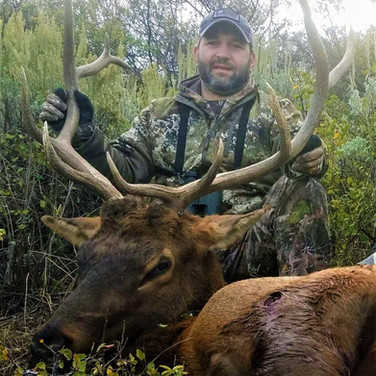 Mike's archery bull '19