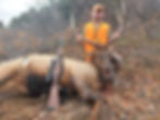 Kevin's 3rd rifle season bull