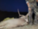 Joseph's archery buck