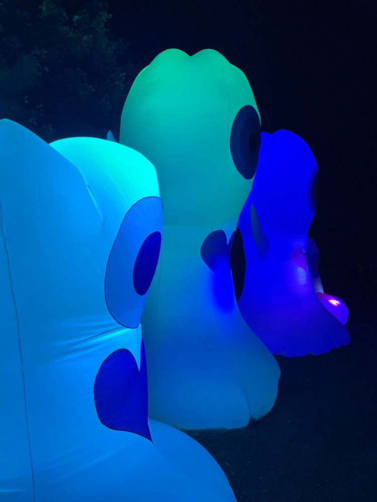 Ghostie-night-side.jpg