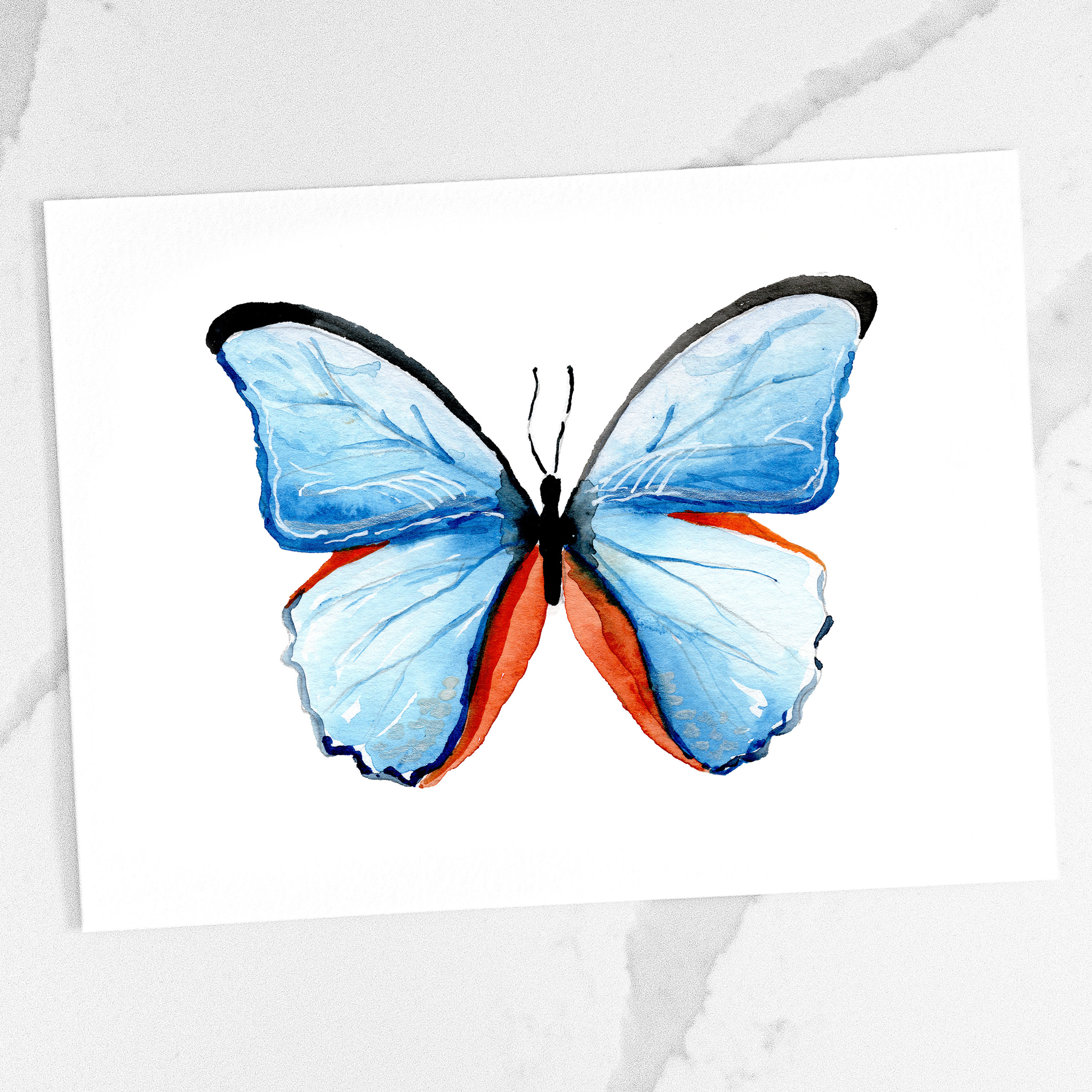 Butterfly Print - Blue Morpho