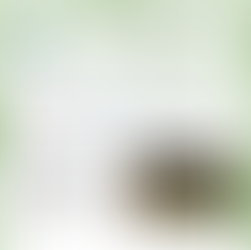 ☘️Cad é an Scéal? December 2025