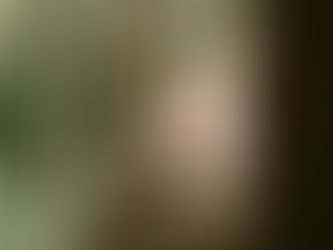 Ending February on a Bright Note