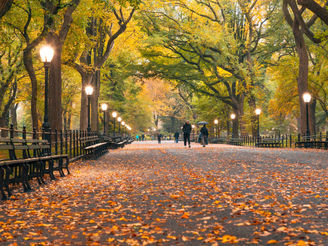 New York Fall Bucket List: 8 Cozy Things To Do This Autumn