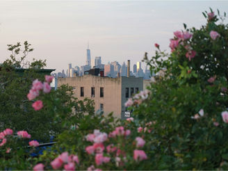 Why Early March Is One of the Most Underrated Times to Experience New York