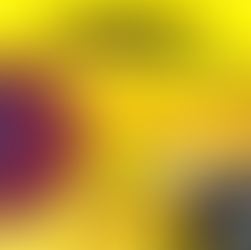 The Hung Gar School - Ha Chau wishes you a wonderful Year of the Dragon - 2566.Health, Happiness, and Prosperity.