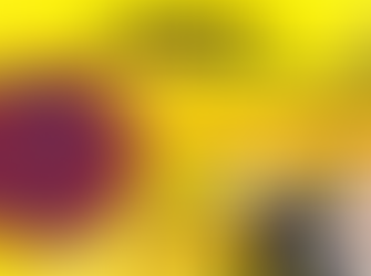 The Hung Gar School - Ha Chau wishes you a wonderful Year of the Dragon - 2566.Health, Happiness, and Prosperity.