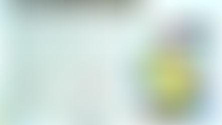 Le Maître Hà Châu a un héritier français. (Courrier du Vietnam - 2006)