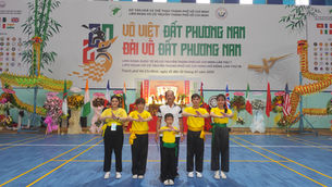 Tournoi international d'arts martiaux au Vietnam