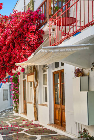 istockphoto-1600482794-612x612.jpg