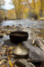 IMG_1833.jpeg
