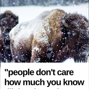 Theodore Roosevelt