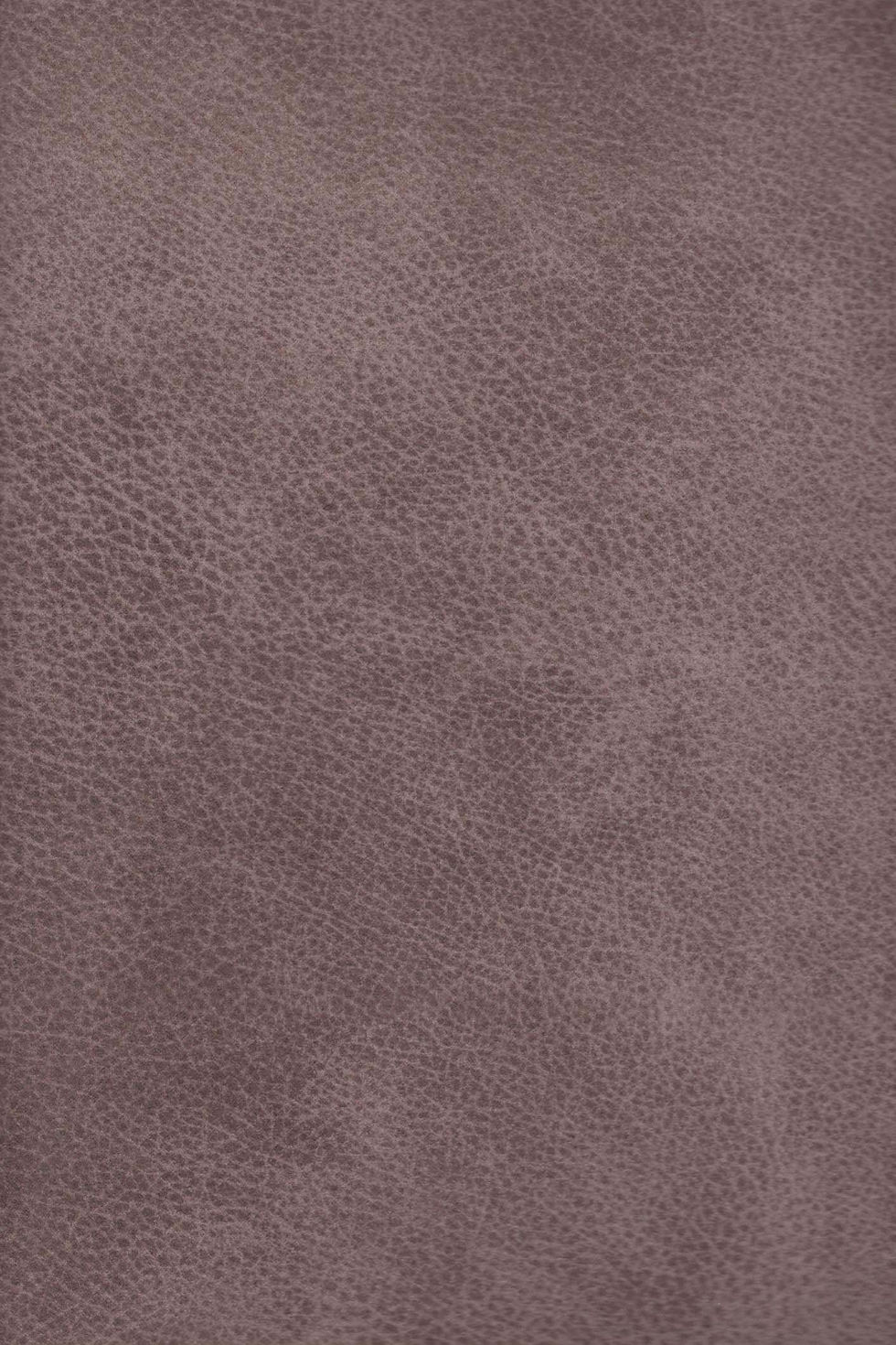 Antilope 24/80