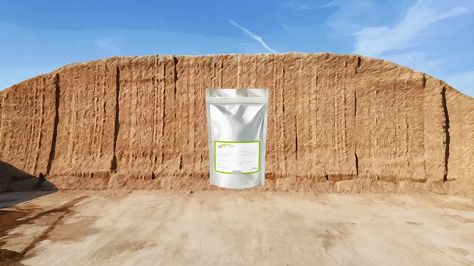 boeck-aktiv-2026-mit-siloanschnitt.webp