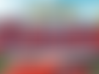 An expansive library of Pokemon Movies [14]