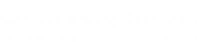 White on Transparent_edited_edited.png