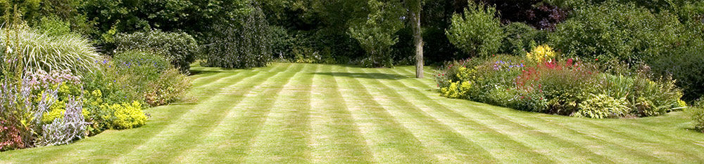 lawn stripes.jpg