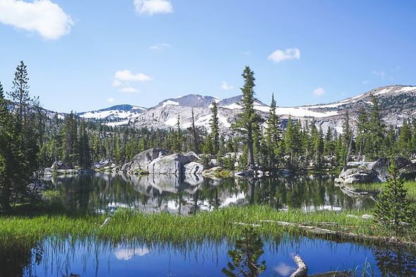 green-grass-growing-water-with-trees-mountains-near-lake-tahoe-ca.jpg