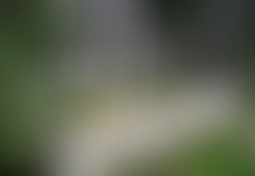 Curb Appeal: First Impressions Add Value