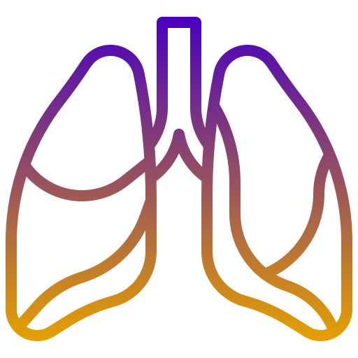 système pulmonaire