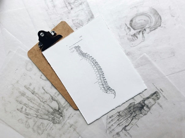 définition ostéopathie