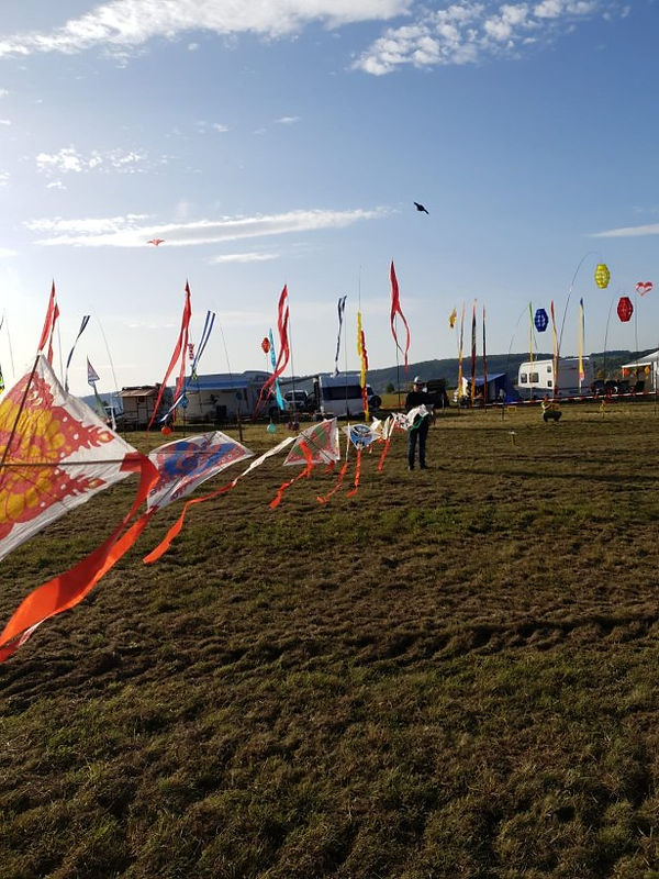 Malmsheim1019 (2).jpeg
