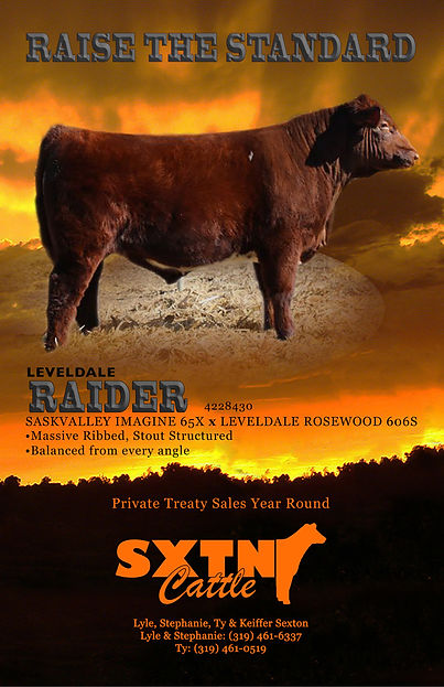 Sexton Cattle Spring 18 Shorthorn Bull A