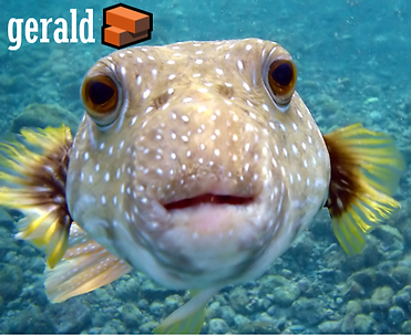 gerald🧱.png