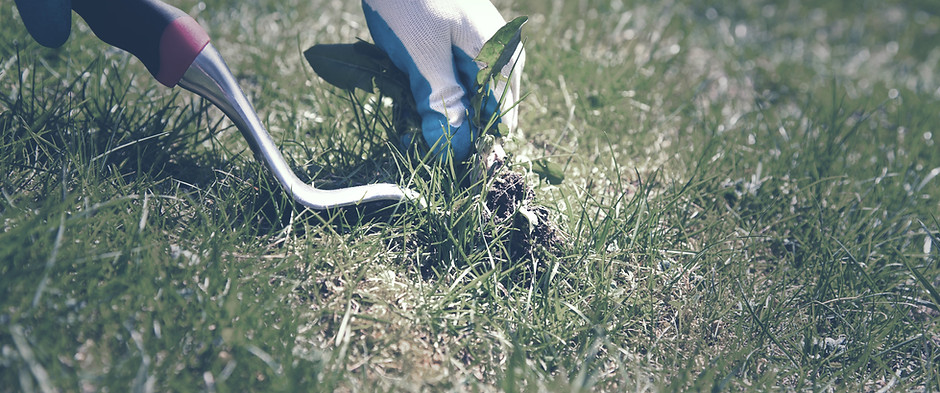 Gardening Gloved Hands