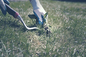 Removing Weeds