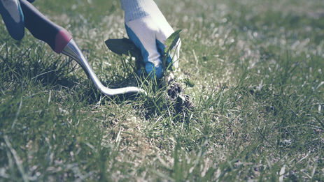 A Congregational Letter to Morgan’s Point and Forks Road East United Churches