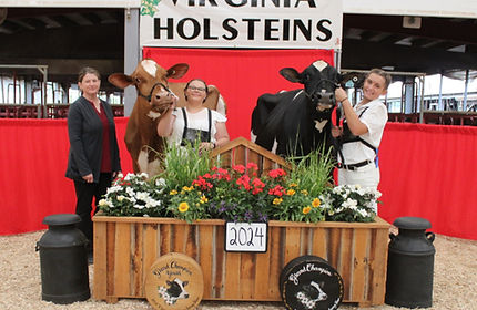 2024 Spring Show - GrandCh_ResCh Open_Yo