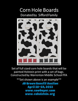 Lot - Corn Hole Boards