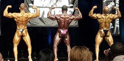 Rear Double Overall