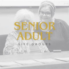 Senior AdultLife groups-Website.jpeg