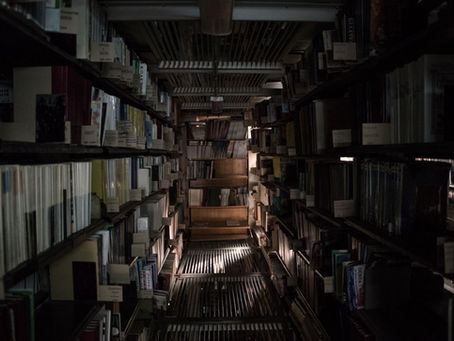 4 роки війни та Харківські бібліотеки